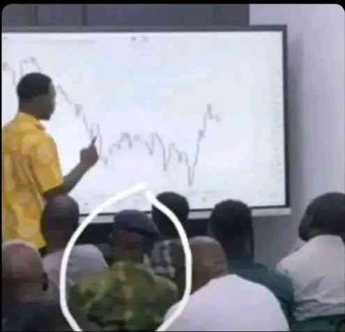 From Forest to Forex | MirrorLog